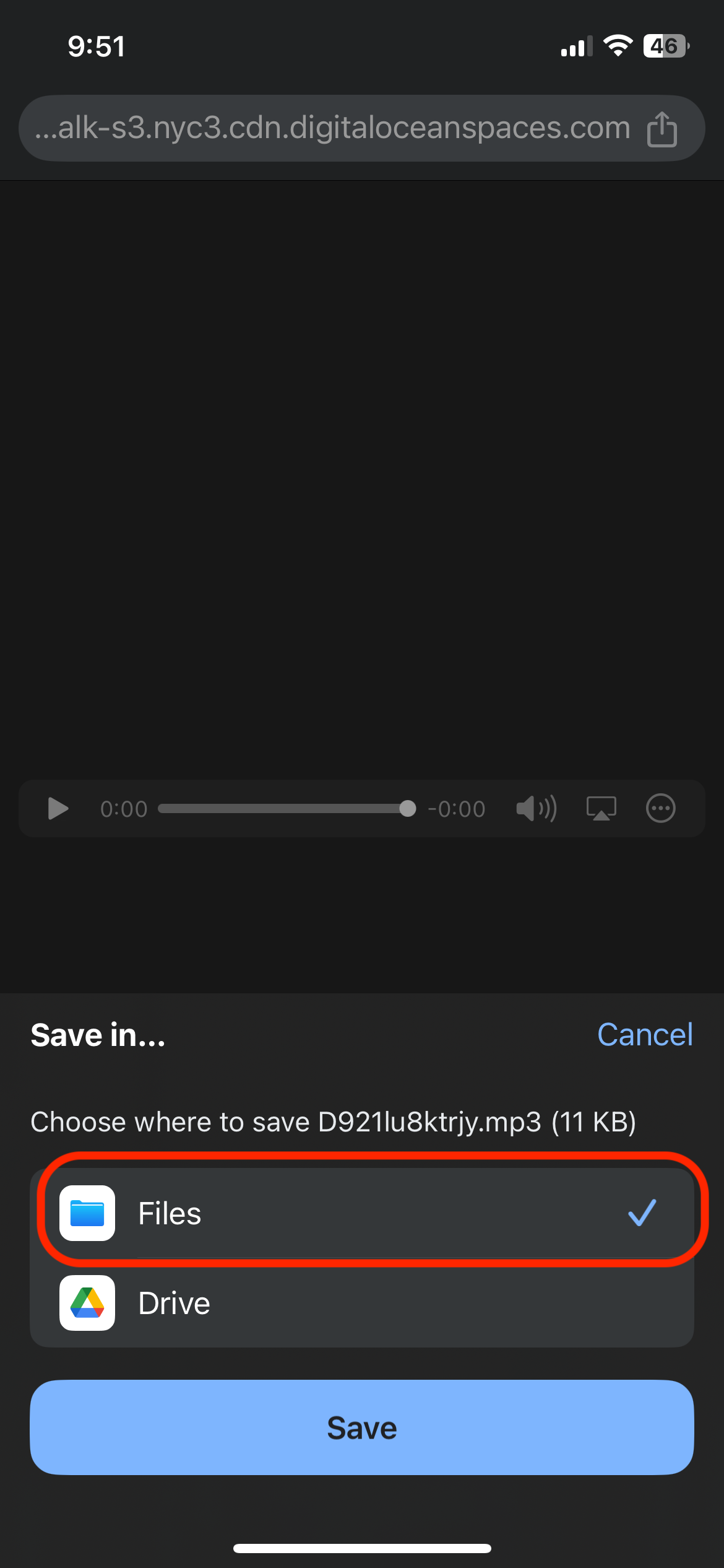 Save to Files option